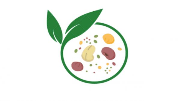 logo Graines